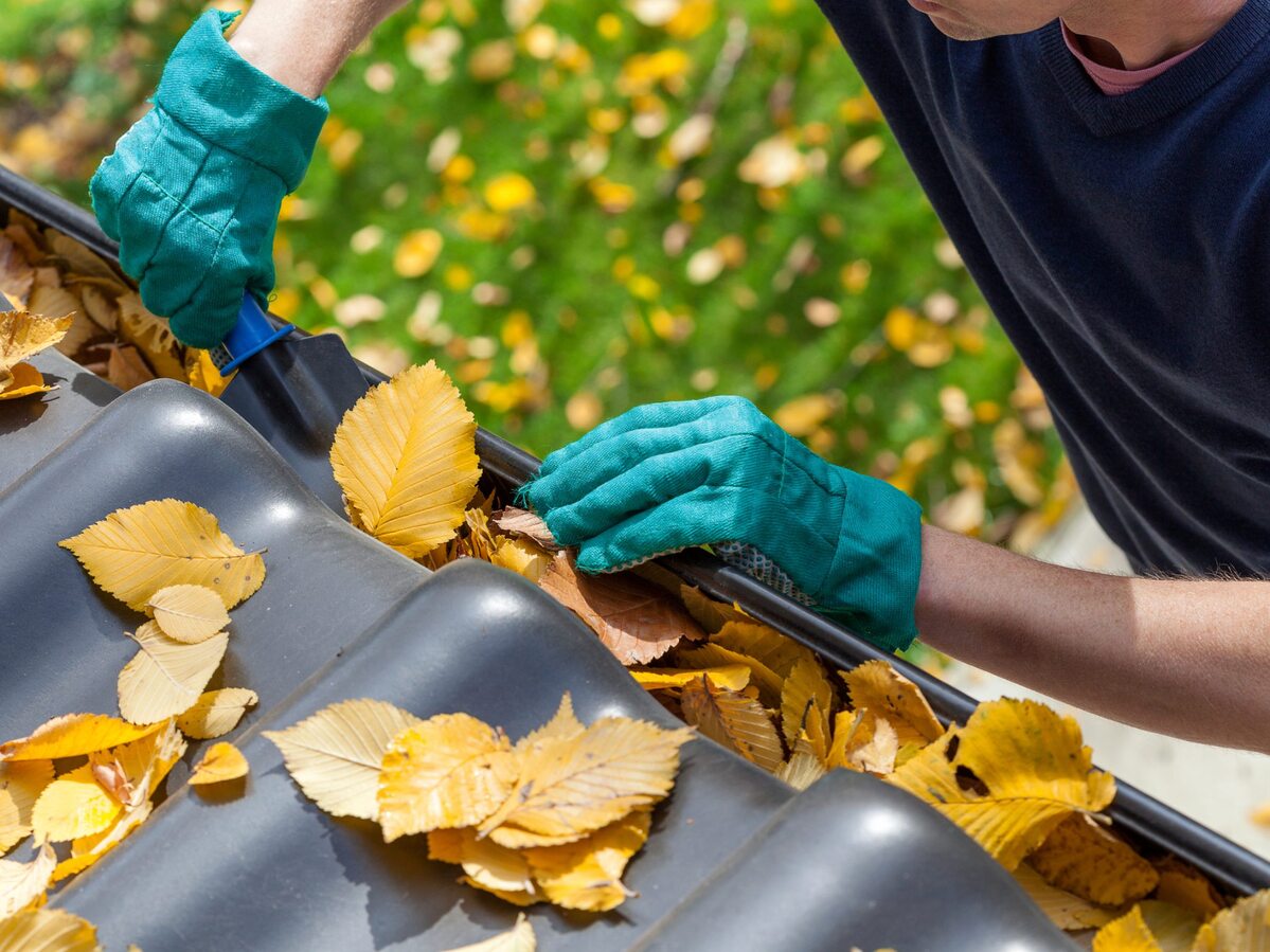 Man clearing leaves from gutters