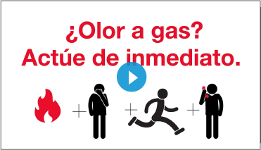 Watch the Video