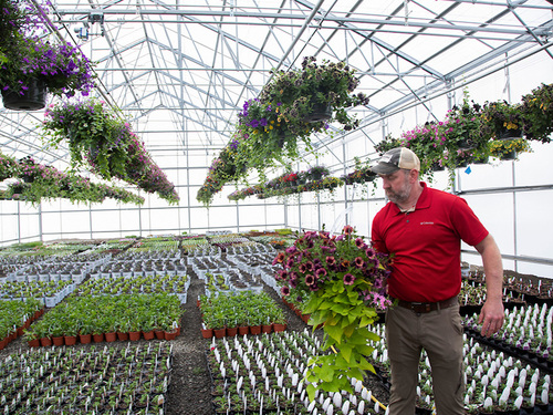 Greenhouse