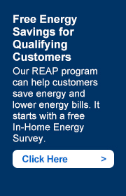 Free Energy Savings for Qualifying Customers. Our REAP program can help customers save energy and lower energy bills. It starts with a free In-Home Energy Survey.