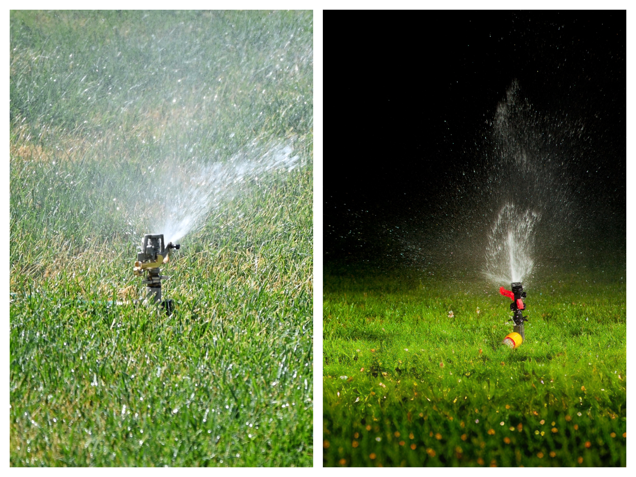 Watering lawn