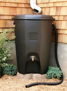 Rain barrel