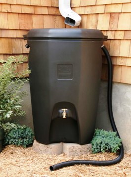 Rain barrel