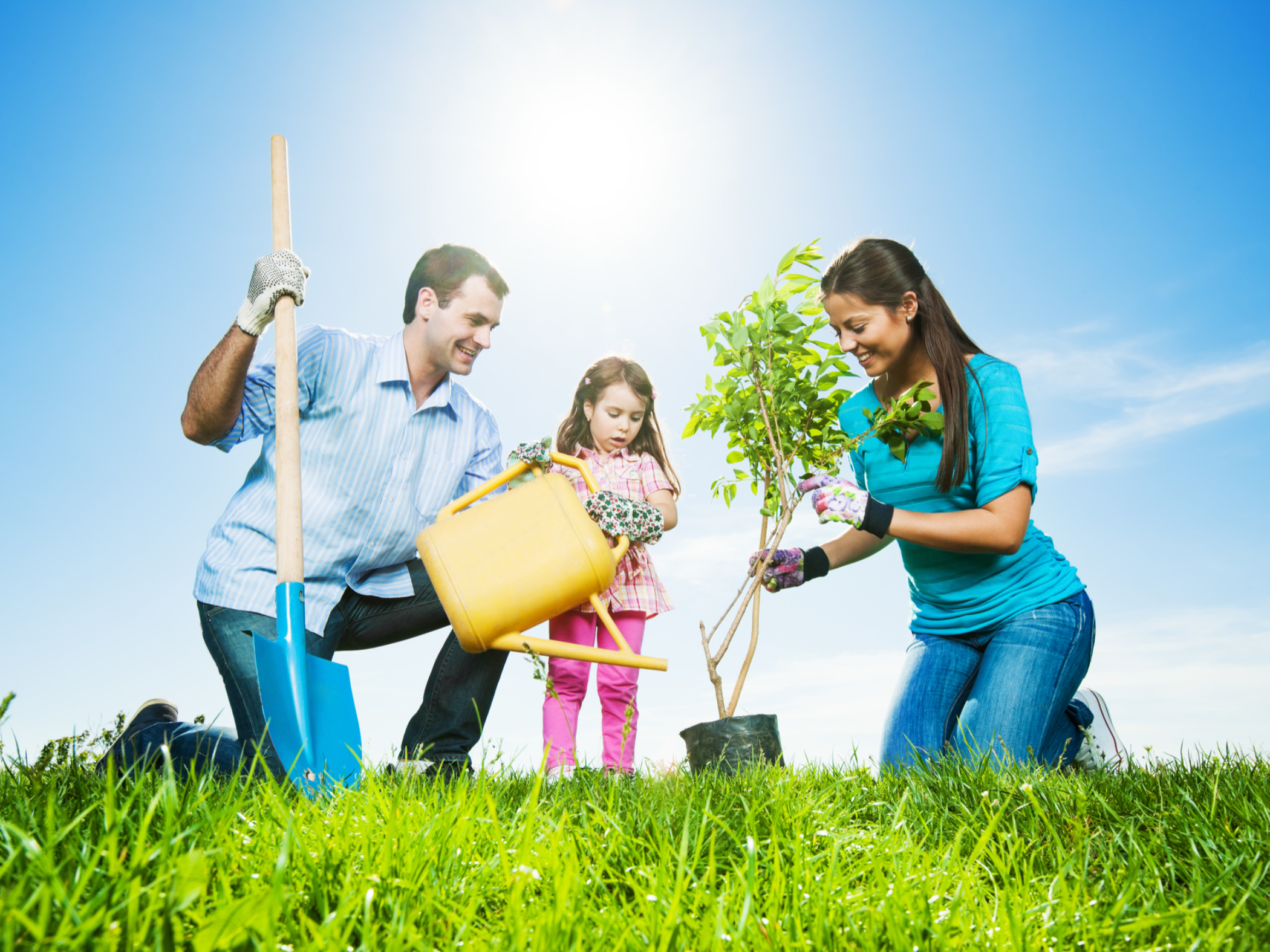 Family planting trees