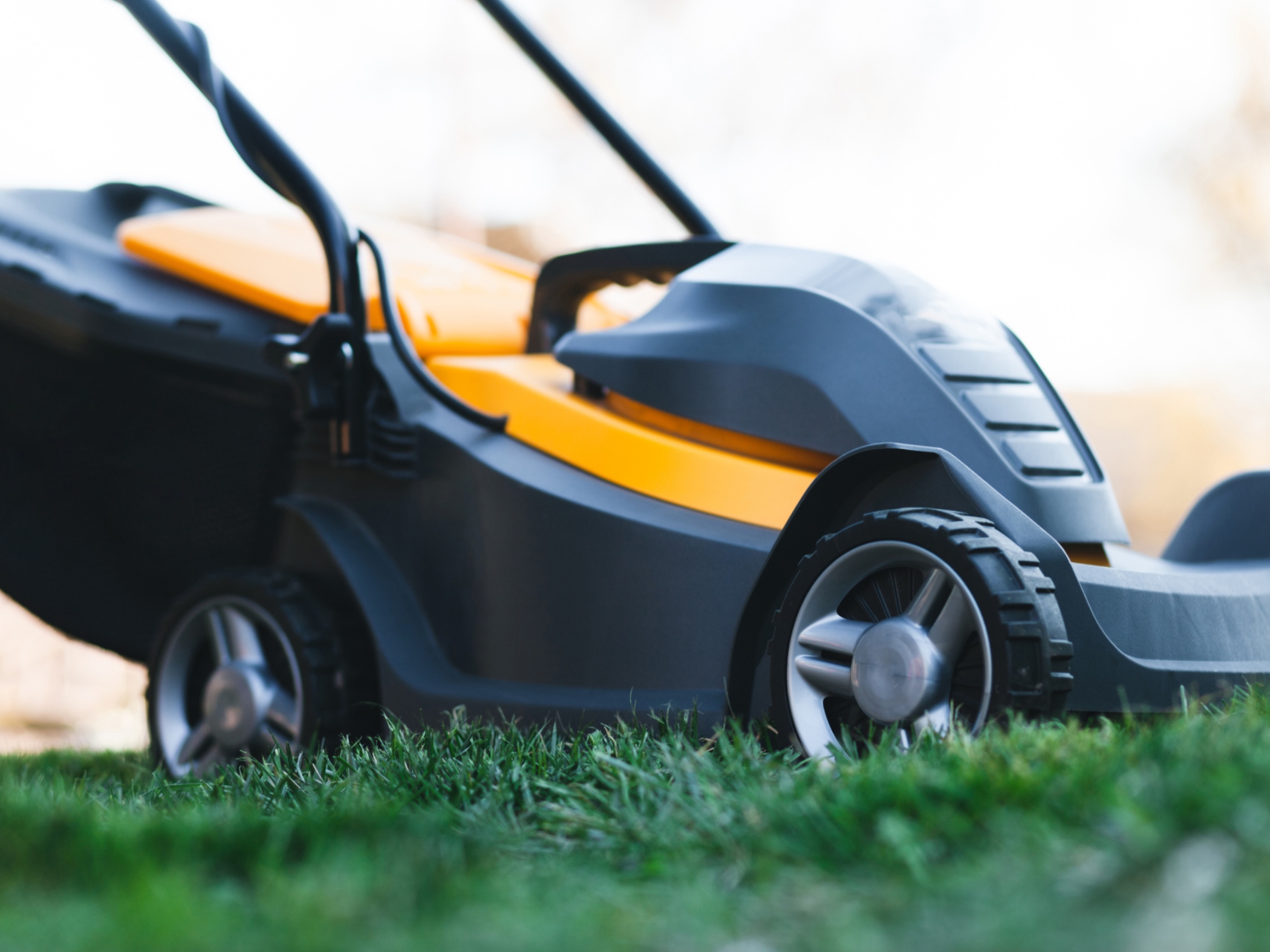 Electric lawnmower cutting grass