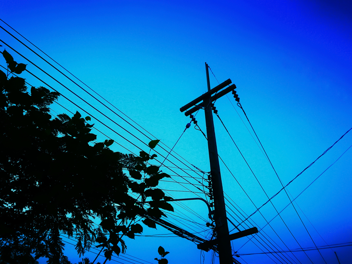 Power lines and trees