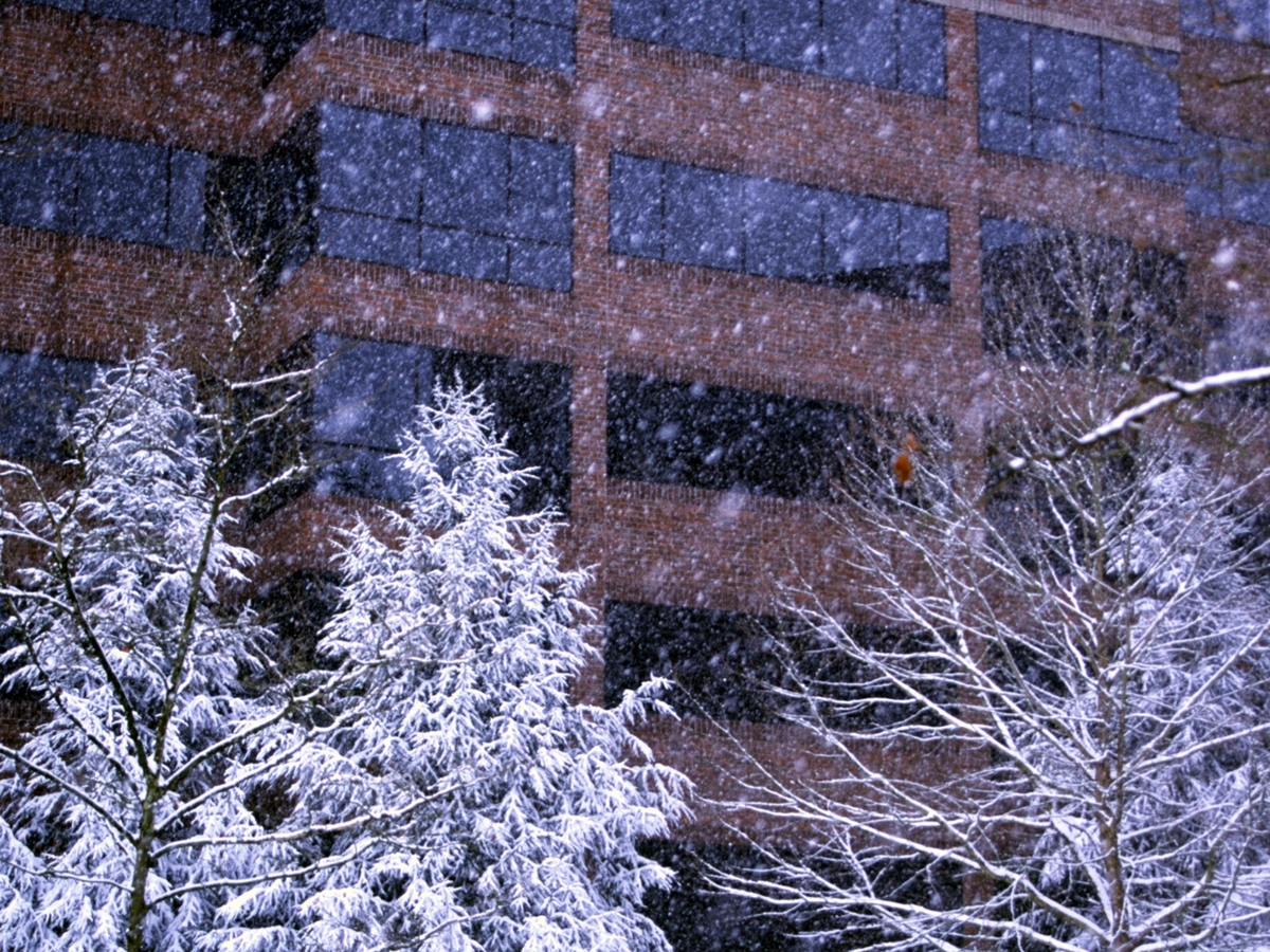 Office building during snow storm