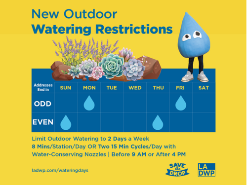 watering restrictions