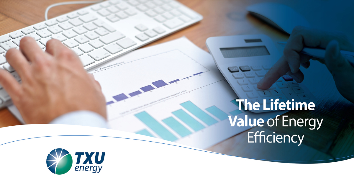 The Lifetime Value of Energy Efficiency