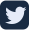 twitter icon