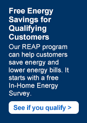 Free Energy Savings for Qualifying Customers. Our REAP program can help customers save energy and lower energy bills. It starts with a free In-Home Energy Survey.