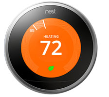 Nest