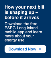 How your next bill is shaping up – before it arrives. Download the free PSEG Long Island mobile app and learn more about your energy use. Download Now >